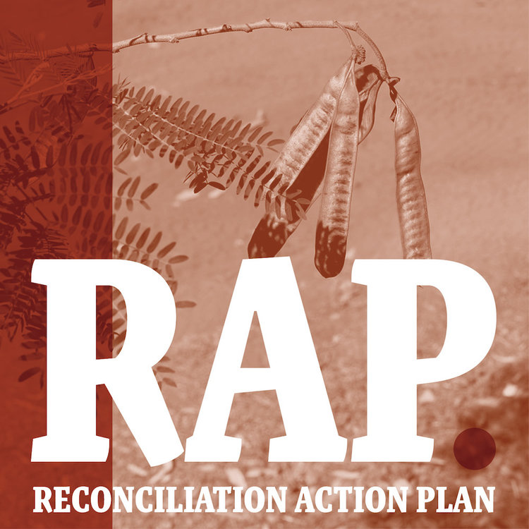 Our Reconciliation Action Plan is Endorsed!