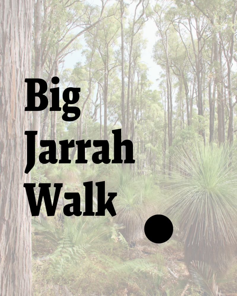 Raising funds to protect our forests